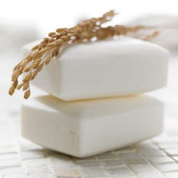 彪盛日用品 品质生活的全方位守护者