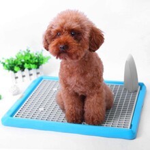 恩泽（日新）宠物日用品厂 专注品质，引领宠物日用百货新风尚